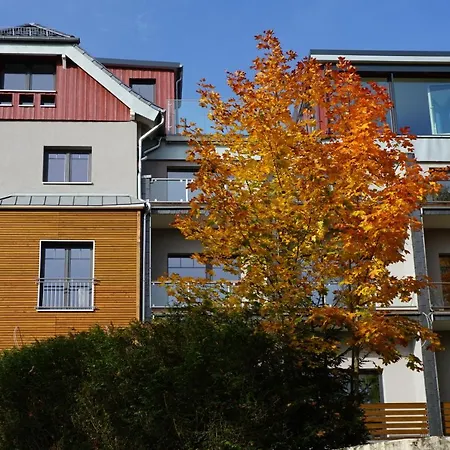 Braunlage Lodge Apartment *